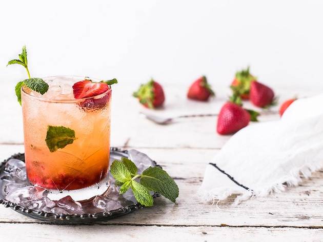 cocktail cocktail