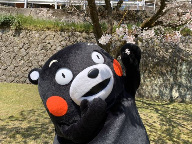 kumamon mascot