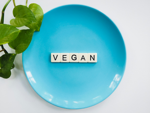 receitas vegan vegan