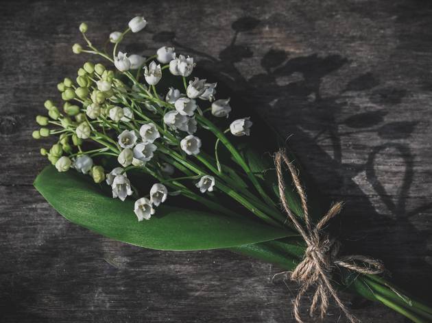 Offrez du muguet aux résidents et soignants des Ehpad… Et sauvez nos horticulteurs ! © Zoritsa Valova / Unsplash