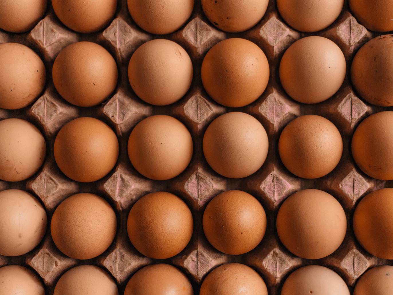 Egg