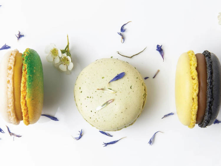 Where to find the best macarons in Hong Kong