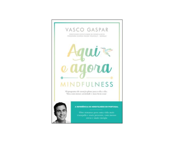 livros sobre mindfulness Aqui e Agora: Mindfulness