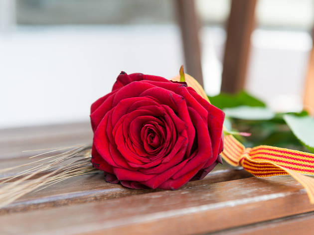 Sant Jordi rose (English) Sant Jordi rose