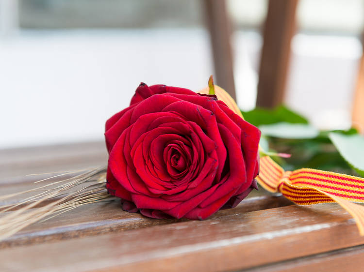 Sant Jordi rose