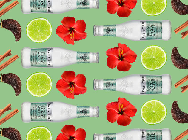 Fever Tree cocktail #5 Fever-Tree cocktail