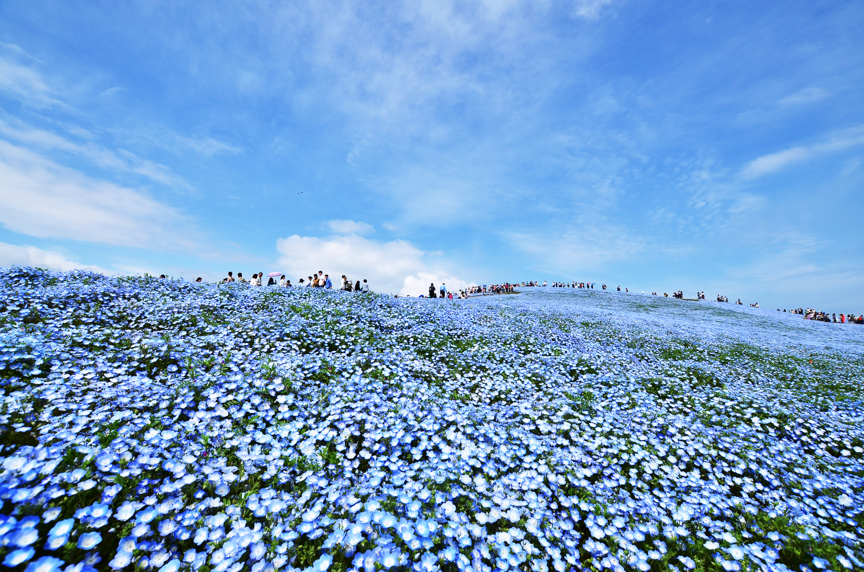 20 of the most beautiful places in Japan | Time Out Tokyo