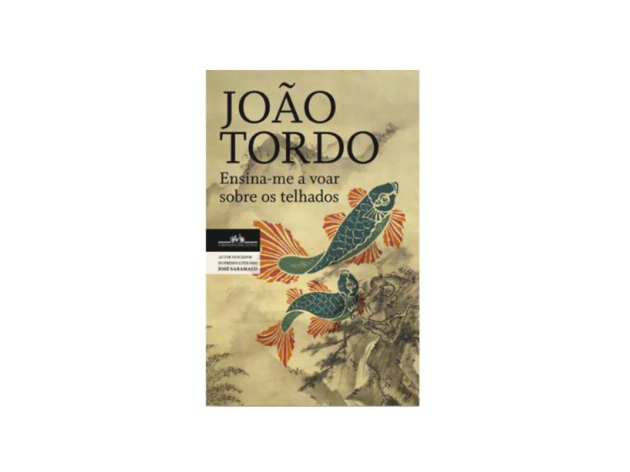 livros Ensina-me a ver sobre os telhados