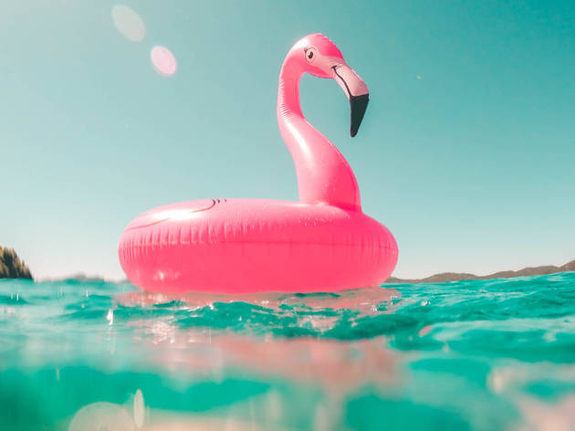 pink flamingo pink flamingo