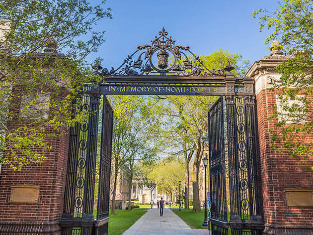 A Yale professor is teaching a free course on how the hell to be happy right now Yale
