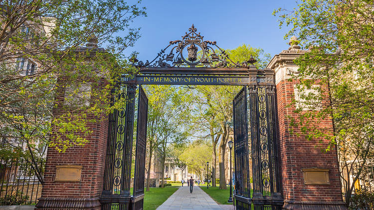 A Yale professor is teaching a free course on how the hell to be happy right now