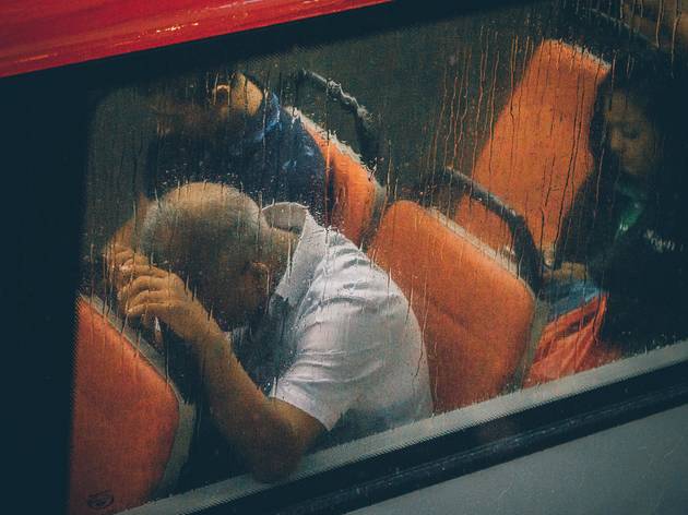 bus bus