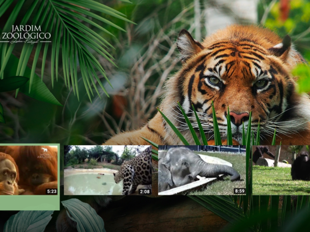 Jardim Zoológico de Lisboa zoo de lisboa