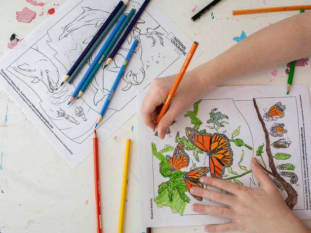อีเวนต์และกิจกรรมน่าสนใจประจำสัปดาห์นี้ (14 - 20 พ.ค.) safari coloring