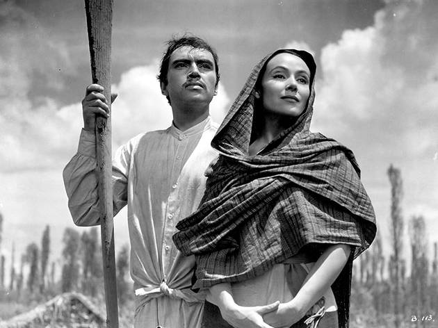 Cine mexicano Cine mexicano