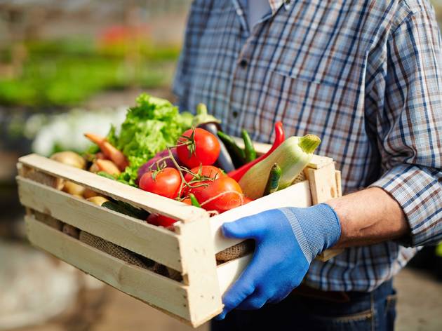 fresh vegetables delivered to your door