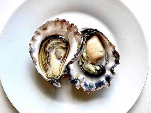 Mimosa Rock Oysters Mimosa Rock Oysters