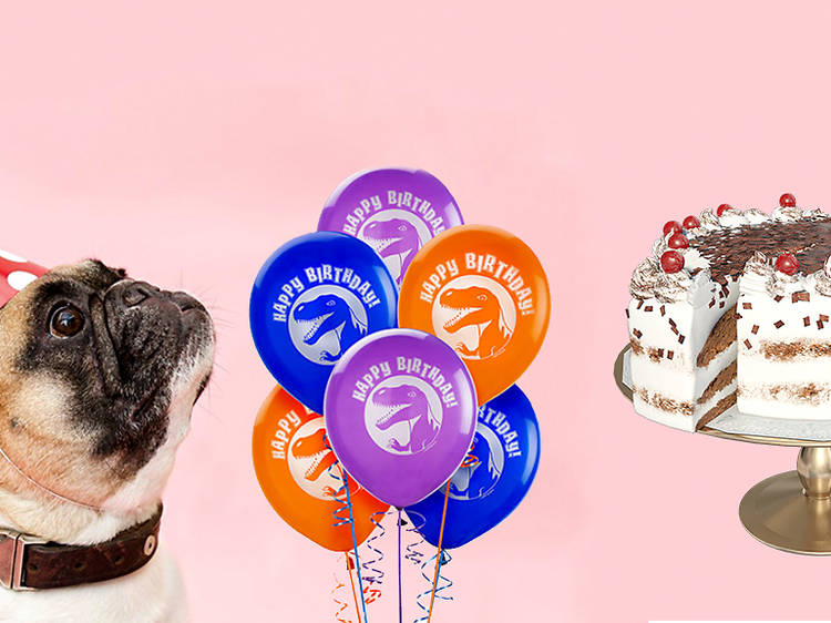 Dog in a party hat, cake, balloons