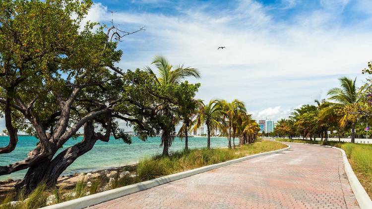 Key Biscayne - Miami