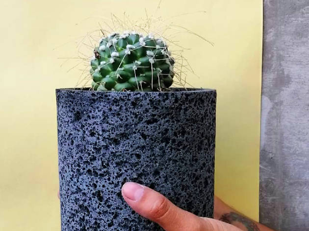 Maceta Jacinto Galería Viva