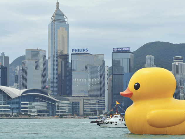 AllRightsReserved, giant rubber duck, hong kong AllRightsReserved, giant rubber duck, hong kong