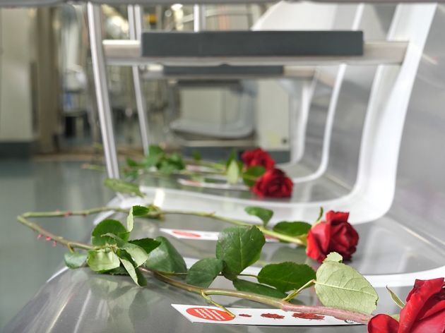 Roses al metro i autobusos de Barcelona Roses al metro i autobusos de Barcelona