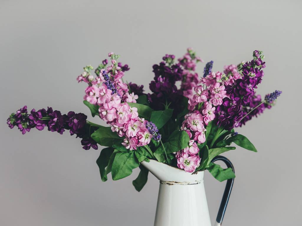 18 Best Flower Delivery Services in Chicago for 2024