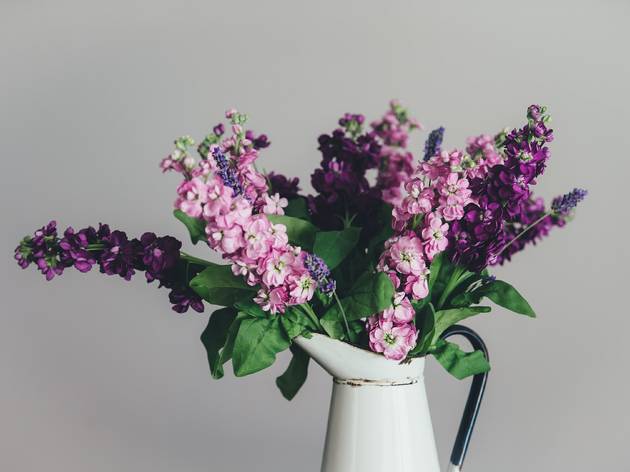 flowers, florist, bouquet, flower, unsplash, annie spratt