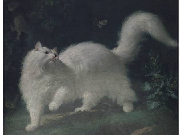 Cats in History of Art Cats in Hostory of Art