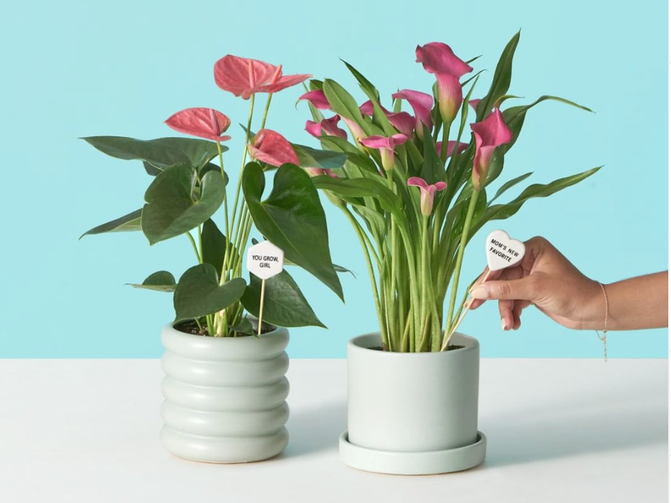 Flower Delivery in NYC 17 Best Online Flower Delivery Stores