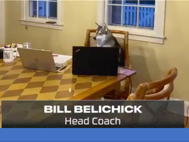 Bill Belichick, champion football coach with Croatian roots, gets pupstaged NFL Draft on NFLN/ESPN/ABC