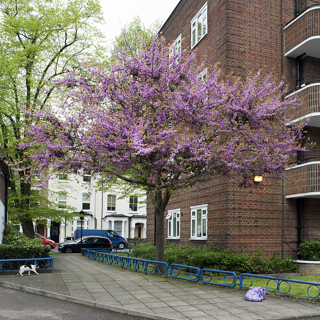 Photograph: Paul Wood