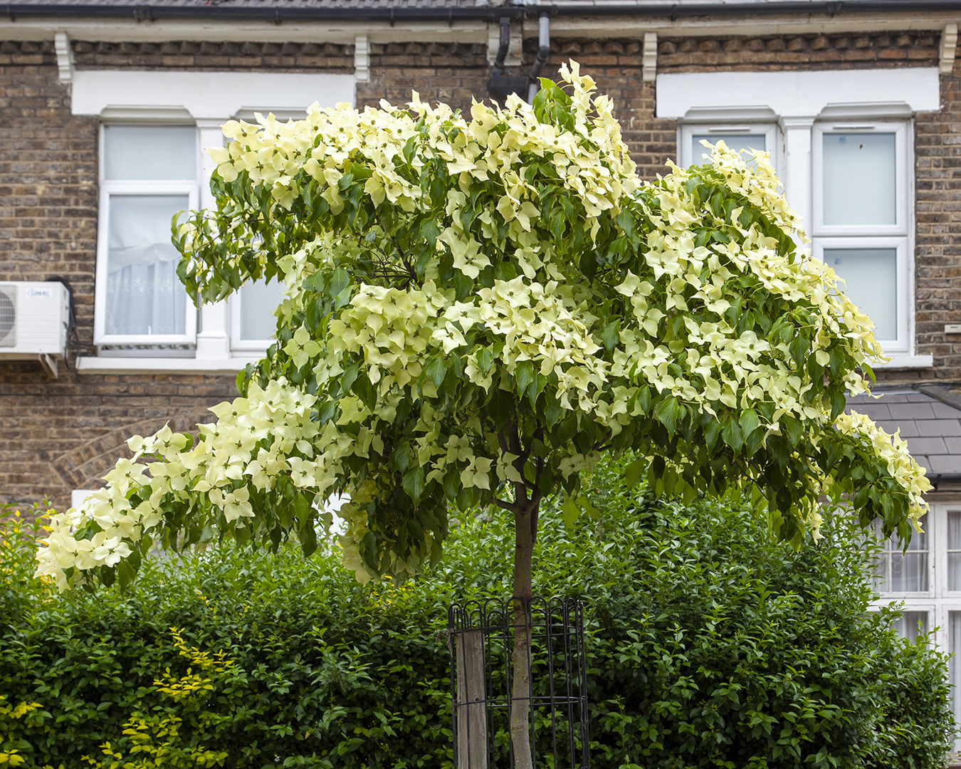 Photograph: Paul Wood