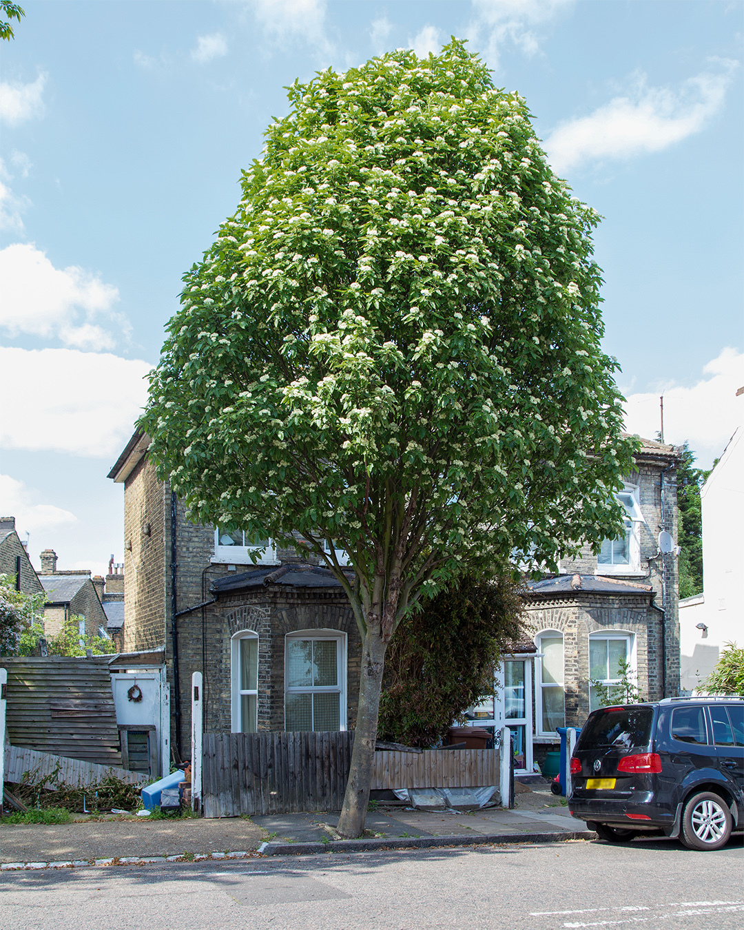 Photograph: Paul Wood