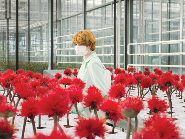 'Little Joe', Jessica Hausner 'Little Joe', Jessica Hausner