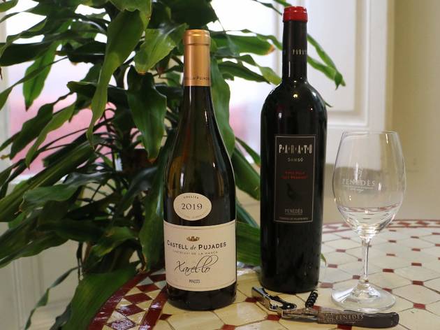 Una copa de vi DO Penedès, Instagram Live, Time In Barcelona
