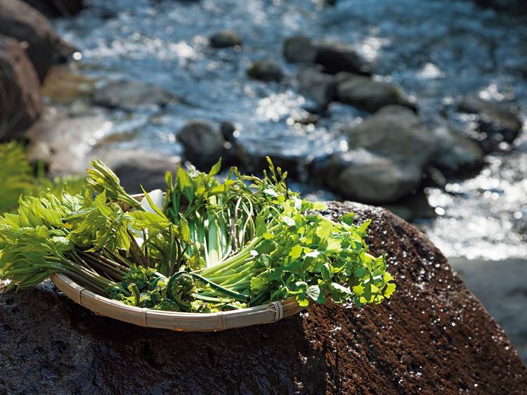 「里山十帖おうちごはん」の滋味で心と体を癒す