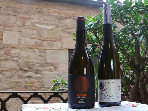 Una copa de vi DO Penedès, Instagram Live, Time In Barcelona