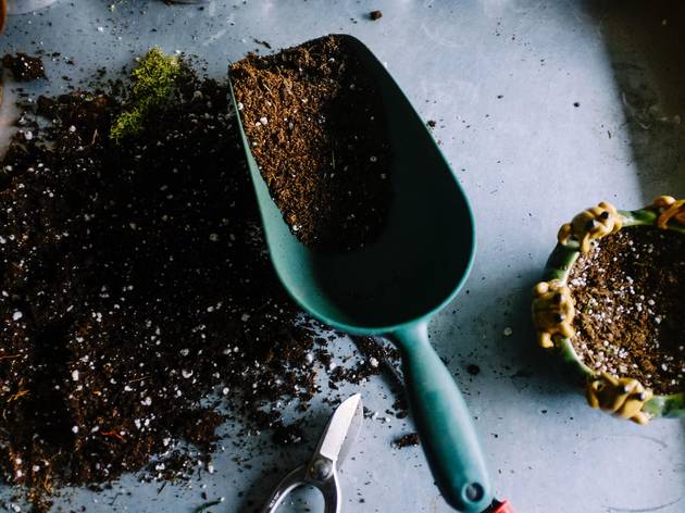 jardinagem como ter uma horta em casa