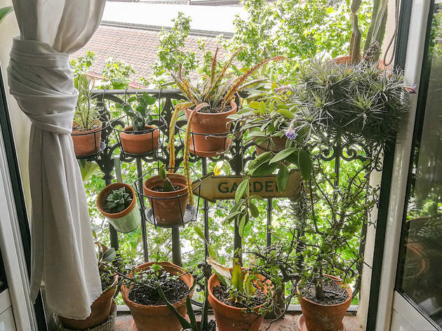 Balcons amb plantes Plantes i verd als balcons