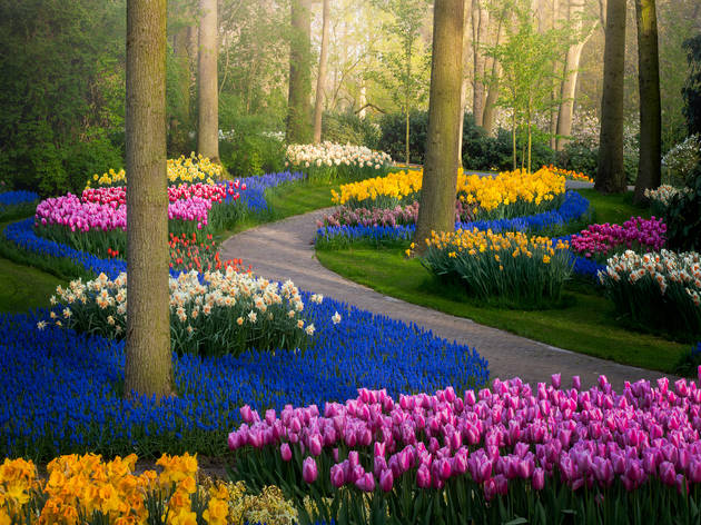 Keukenhof Keukenhof