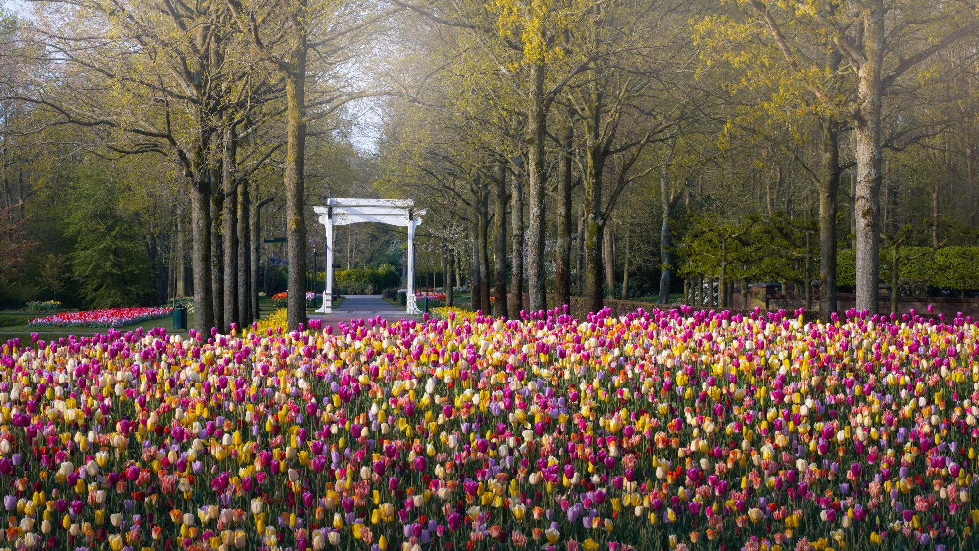 Keukenhof