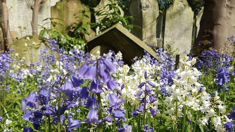 Tower Hamlets Cemetery Park