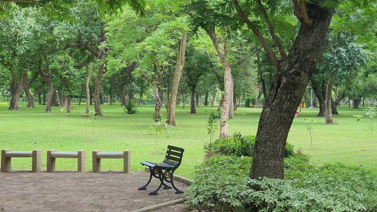 Chatuchak Park สวนจตุจักร