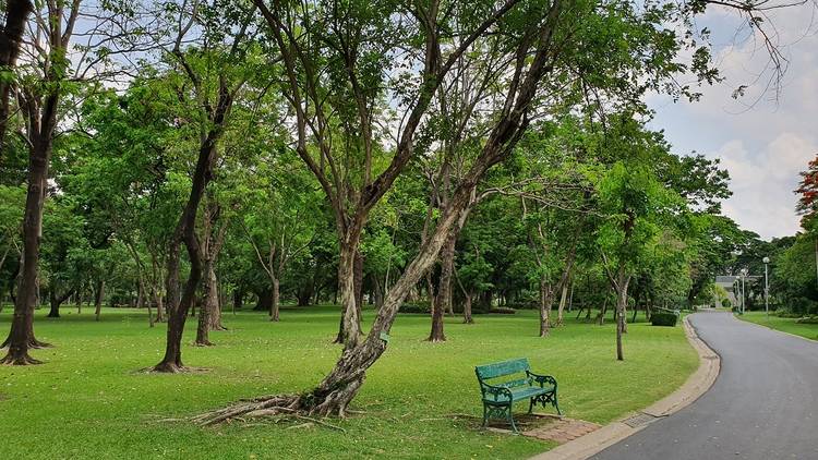 Chatuchak Park สวนจตุจักร
