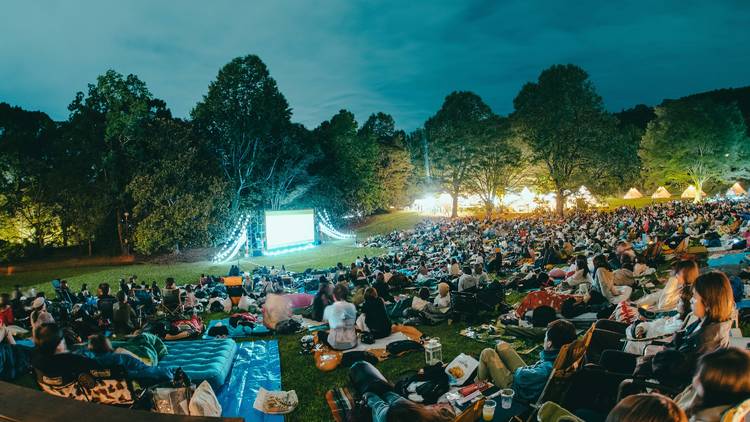 夜空と交差する森の映画祭2020