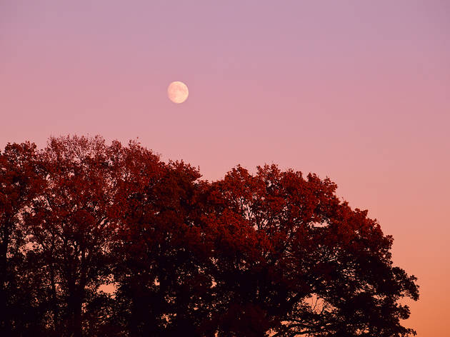 Full moon Full moon