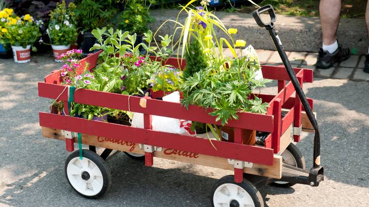 Montreal Community Gardens