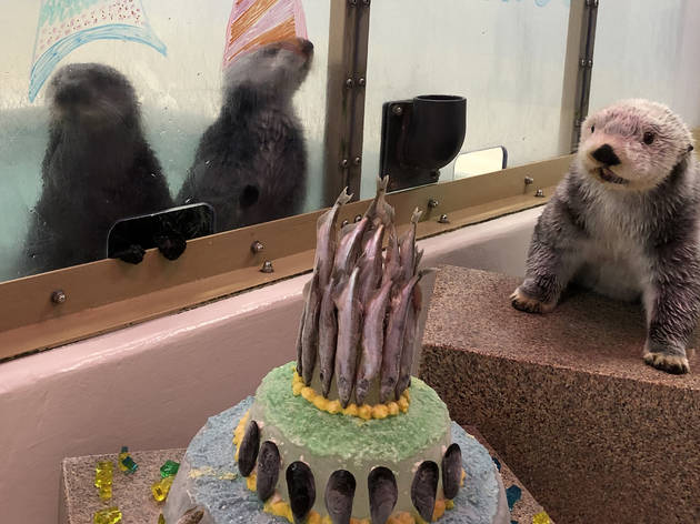 Time Out #23: December 15, 2020