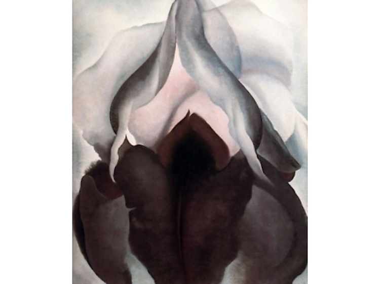 Georgia O’Keeffe, Iris noire (1926)